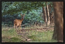 ree _MG_2399